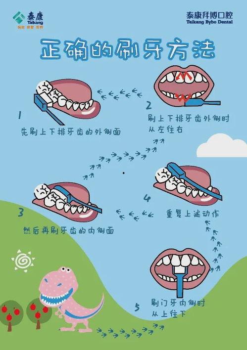 正确的刷牙视频,视频教你轻松护齿健康