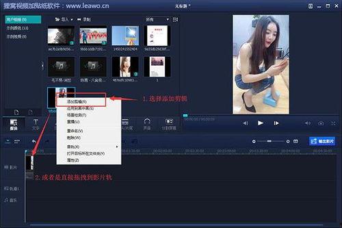 p视频的软件,功能解析与使用指南
