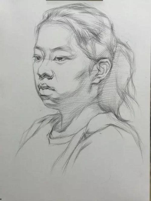 素描绘画视频,从基础到进阶的绘画技巧解析