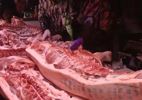 猪肉视频,视频带你领略猪肉烹饪艺术