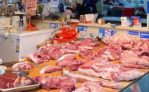 猪肉视频,视频带你领略猪肉烹饪艺术