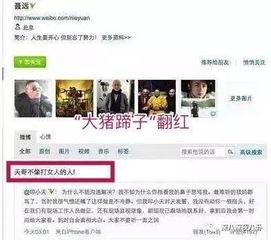 黑历史吃瓜网站在线观看,黑历史吃瓜网站带你领略网络风云