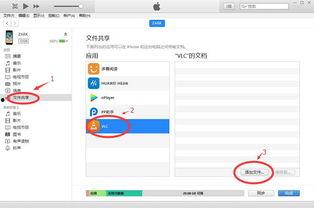 为什么无法播放视频,常见原因及解决方案