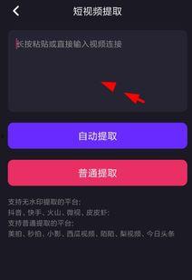 视频能去水印吗,揭秘高效去水印技术