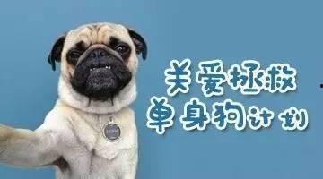 单身狗视频,视频里的单身生活趣味瞬间