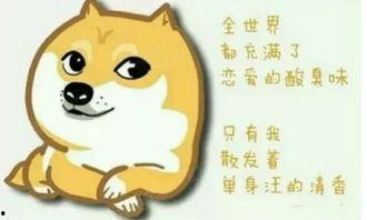 单身狗视频,视频里的单身生活趣味瞬间