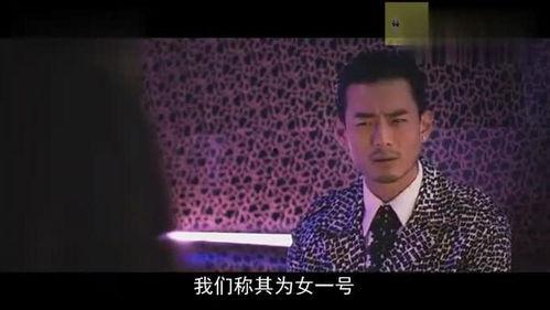 视频鸭王,揭秘网络红鸭的崛起之路
