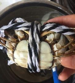 螃蟹怎么绑视频,轻松掌握绑蟹技巧