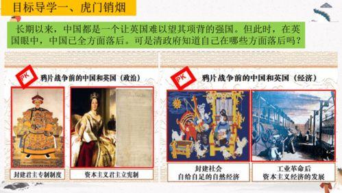 八下历史视频,穿越时空的文明足迹