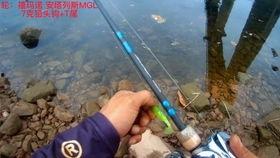 路亚钓白条视频,视频教学带你轻松上钩