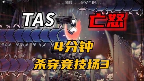 tas视频,揭秘科技与艺术的完美融合