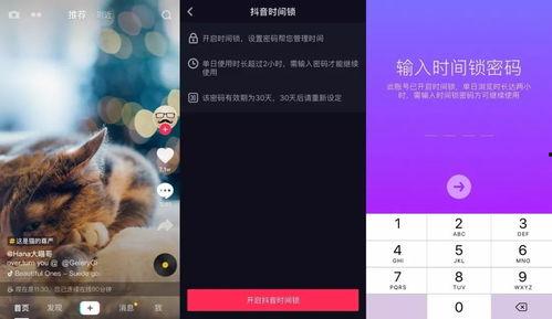 抖音段视频,揭秘XX生活趣事