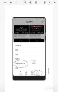手机视频不能播放