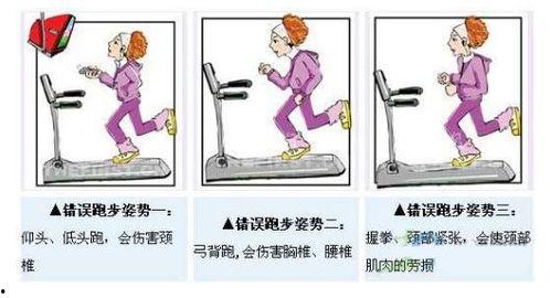 体位视频,不同姿势下的身体奥秘与益处