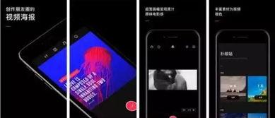 即时视频,视频内容精彩瞬间回顾