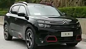 天逸视频,探索视觉盛宴的无限可能