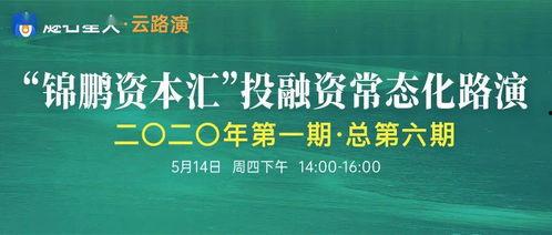 融资路演视频,项目潜力与投资机遇深度剖析