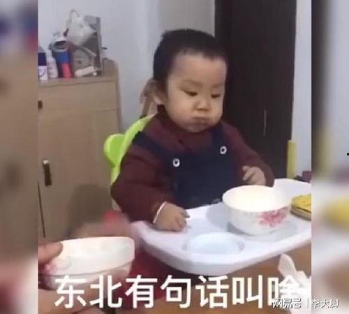 东北吃饭视频,一餐一世界，味蕾之旅尽在东北饭桌