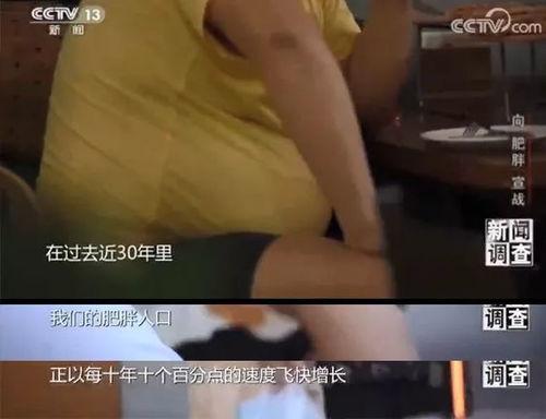 肥胖视频,视频揭示健康危机背后的真相