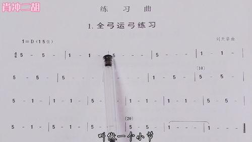 自学二胡视频,轻松入门，掌握经典曲目
