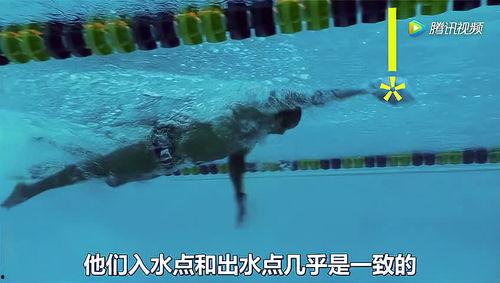自由游泳教学视频,轻松掌握游泳技巧全解析