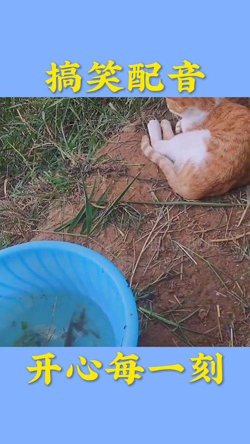 生物有趣视频