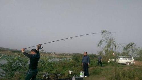 海竿钓鲤鱼视频,视频教学助你轻松上钩