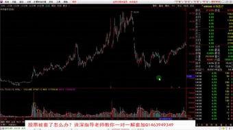股票视频教程,掌握投资之道