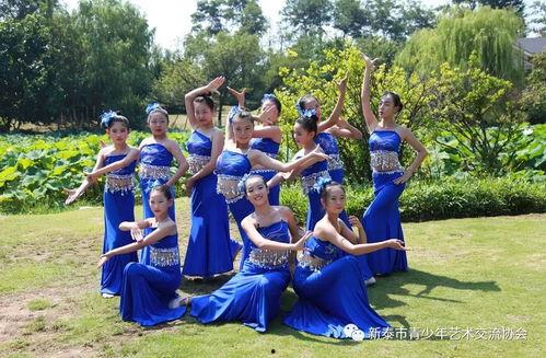 傣族舞蹈视频大全,视频大全中的民族韵律之旅