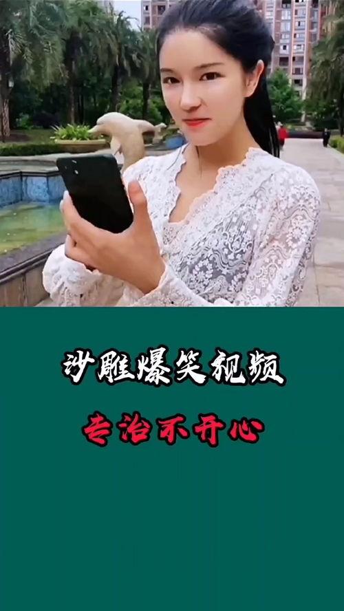 内涵搞笑视频,内涵十足！搞笑视频盘点
