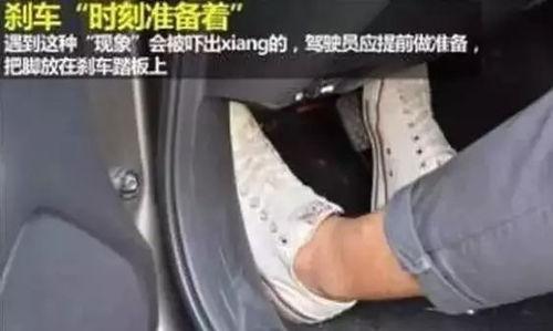 踩油门视频,揭秘驾驶技巧与激情