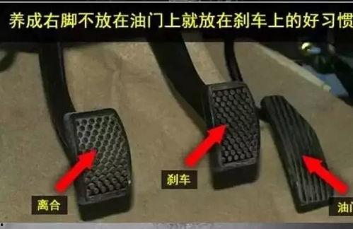 踩油门视频,揭秘驾驶技巧与激情