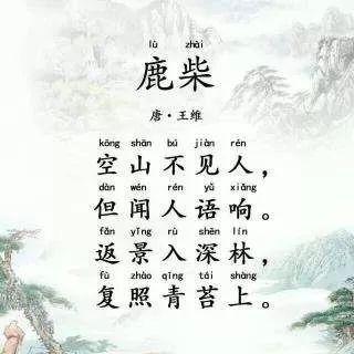 鹿柴古诗视频,探寻自然与禅意的和谐共鸣