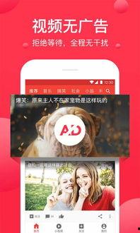 西瓜视频在线看,畅享海量精彩内容，在线观看新体验