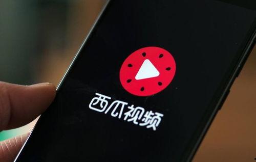 西瓜视频自媒体,揭秘短视频创作与运营之道