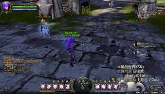 关于游戏的视频,沉浸式体验背后的奥秘揭秘