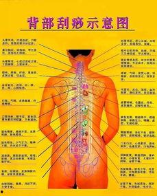 胸部刮痧视频,轻松缓解压力，焕发健康活力