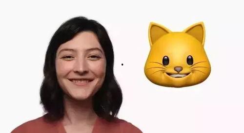 表情视频,表情视频背后的故事
