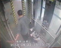 人拉屎视频,一场关于拉屎的视觉之旅