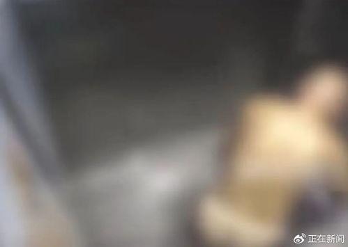 人拉屎视频,一场关于拉屎的视觉之旅