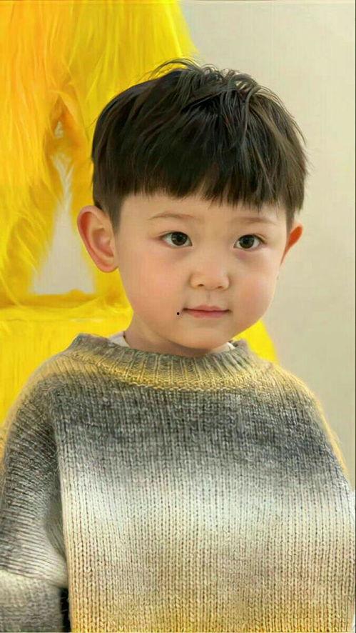 男孩发型图片大全,男孩发型图片大全精选