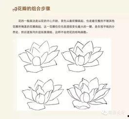 荷花简笔画视频,一抹清新，绘出夏日风情