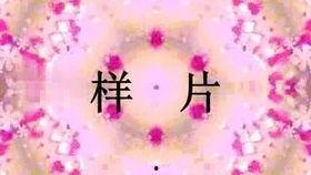 水调歌头获奖朗诵视频,深情演绎，传颂经典之美