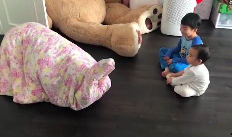 大象叫声视频,揭秘震撼人心的叫声之谜