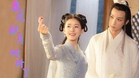 剪春花视频,一场视觉与情感的盛宴