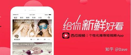 西瓜视频广告,带你领略短视频的魅力与创意