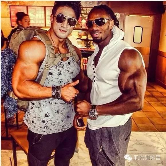 欧美肌肉男视频,健身与力量的完美演绎