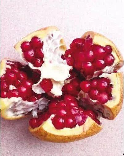 石榴小视频,探寻石榴魅力，尽享视觉盛宴