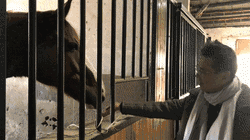 马生产视频,探寻马生产视频的魅力与启示