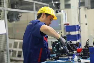 马生产视频,探寻马生产视频的魅力与启示